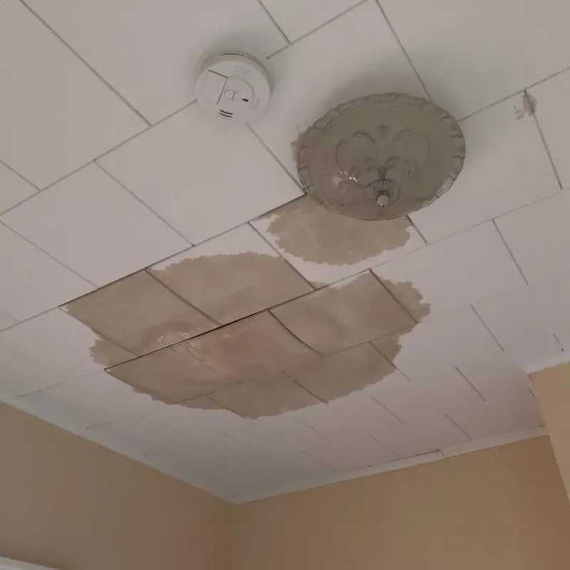 Ceiling Water Damage Repair in Frontenac, MO