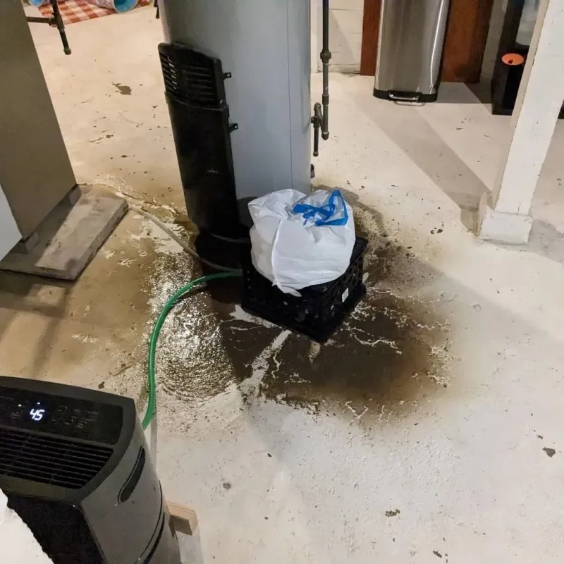 Sewage Backup Cleanup Service in Frontenac, MO
